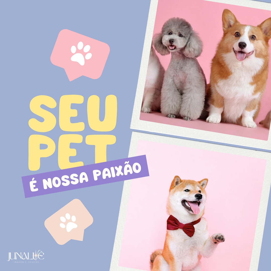 Seu pet é nossa paixão, com fotos de cães.